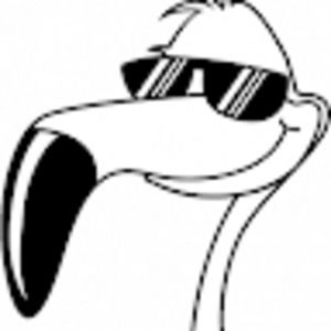 Meet your Posher, Don